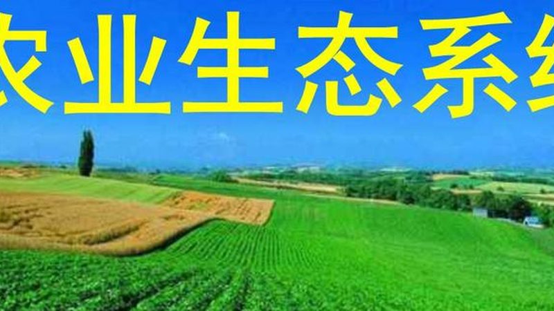 湖南蜜柚种植：基地面积与规模背后的产业逻辑**