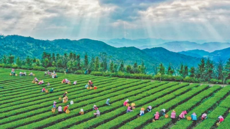 农业种植机械：价格之外，你还需要了解这些