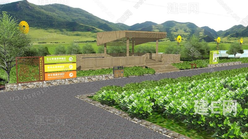 从播种到采收：不同农业种植方法的流程与效果对比