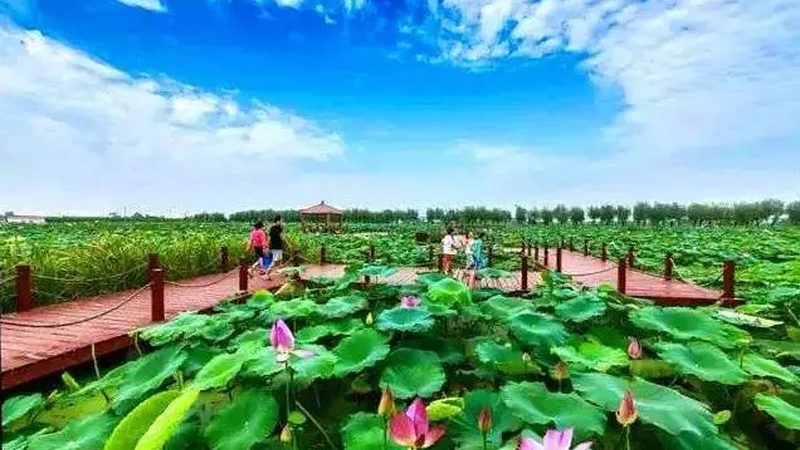 小型农业种植项目加盟