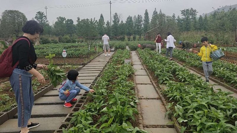 农产品批发市场税收优惠，这些注意事项你了解吗？**