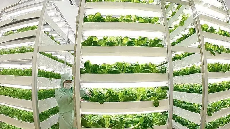 移动式大棚骨架：农业设施升级的关键**