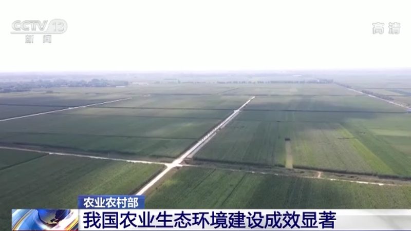 蔬菜配送车：批发市场的物流新宠**