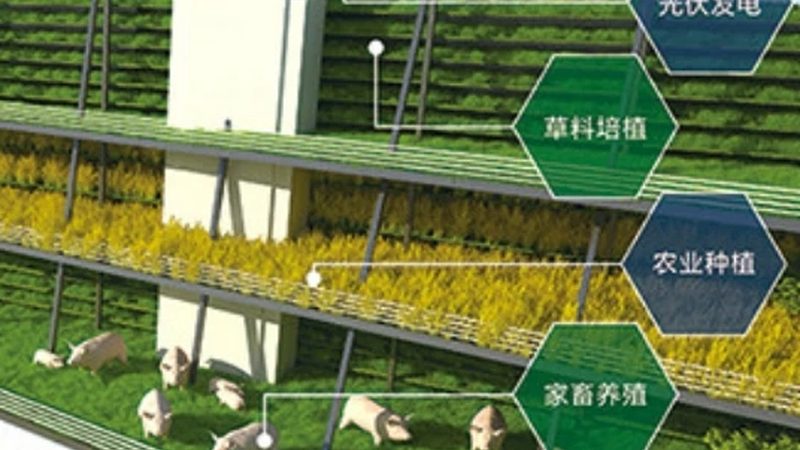 合作社农机补贴价格范围全解析：补贴政策与选购要点