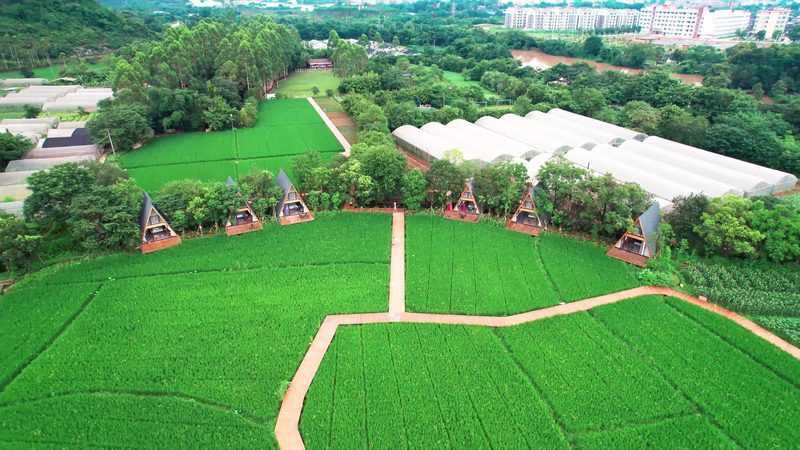 粮食种植技术培训报名全攻略：从入门到精通