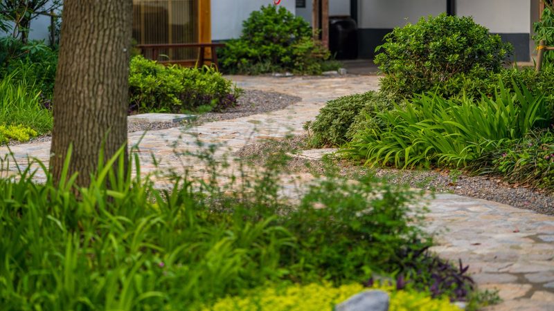 有机农业种植操作流程：从土壤到餐桌的绿色之旅