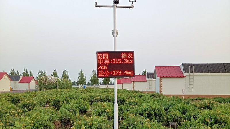 有机蔬菜代理怎么找货源
